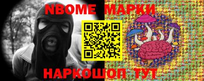герыч Сланцы