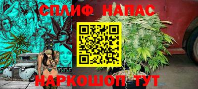 бошки Славгород